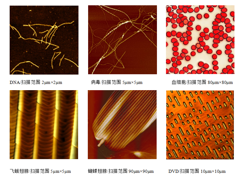 1650786790372515.png 23b86f81aff5c2cd980da76363c36e4.png