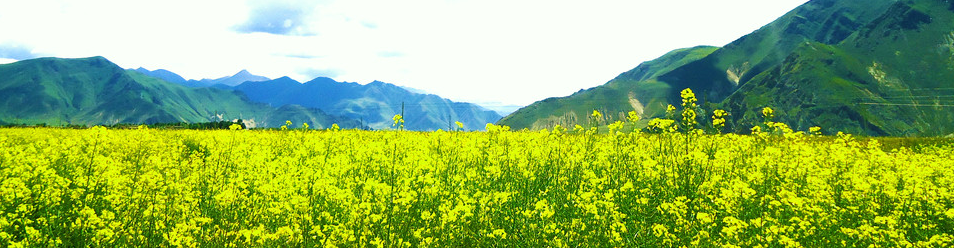 �������ξ�(xi��n)· ���}���ξ�(xi��n)·