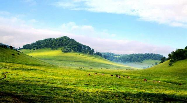 ◆關(guān)山草原風(fēng)景名勝區(qū)(國家AAAA級(jí)旅游景區(qū))