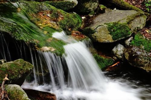 ◆西安秦嶺九龍?zhí)毒皡^(qū)(AA級(jí)旅游景區(qū))